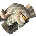 Olm the Wise, a Bird of Prey hunter pet in WoW Forever