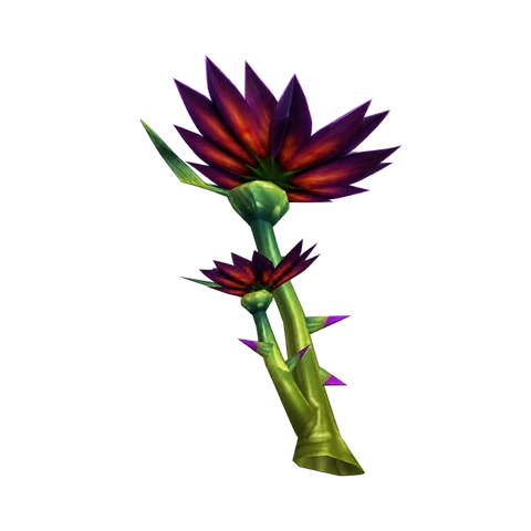 Schwarzer Lotus, ein Endgame-Kraut in WoW Forever