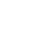 Smooth Skate Icon