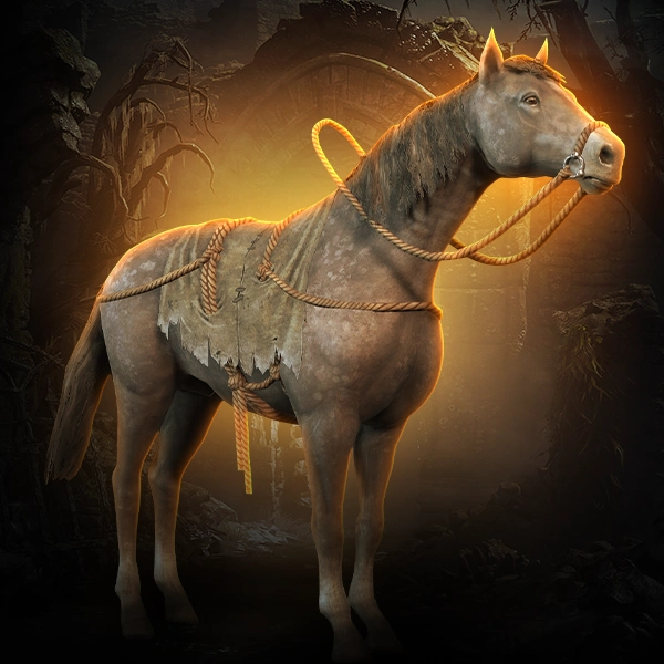 Trapper's Steed