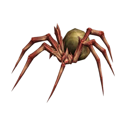 Spider in WoW Forever, the look of Leech Stalker, Gloomrise Soldier, Spawn of Mar'li and 3 more