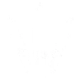 Blade Storm Ability