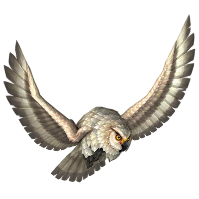 Olm the Wise, a Bird of Prey hunter pet in WoW Forever