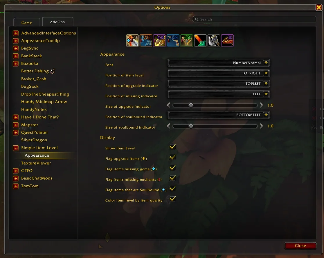 The Appearance page of the Simple Item Level options