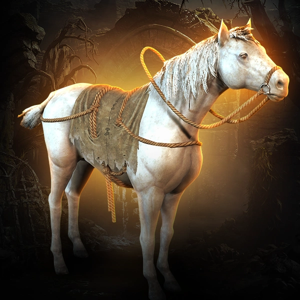 Diablo 4 Pale Steed