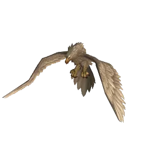 Snowy Highmountain Eagle