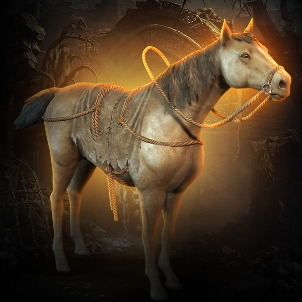 Diablo 4 Taiga Roan Steed