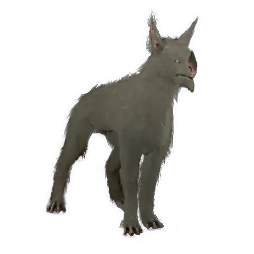 Sunika Kubrow