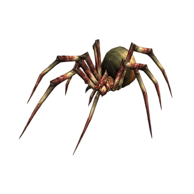 Spider in WoW Forever, the look of Young Night Web Spider, Highland Spider, Plague Lurker