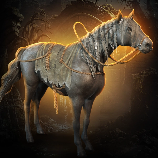 Diablo 4 Executioner Steed