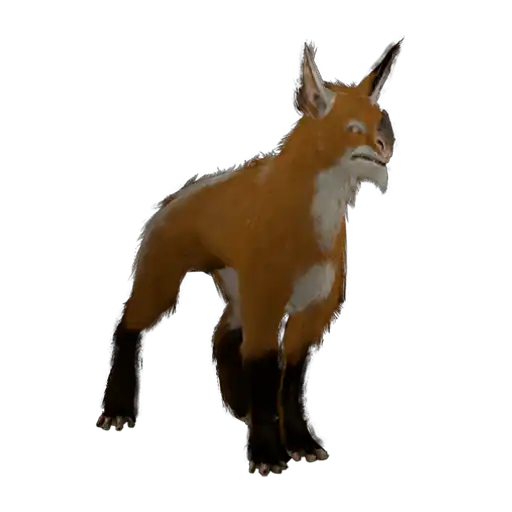 Huras Kubrow