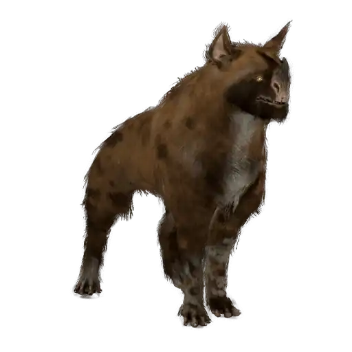 Raksa Kubrow
