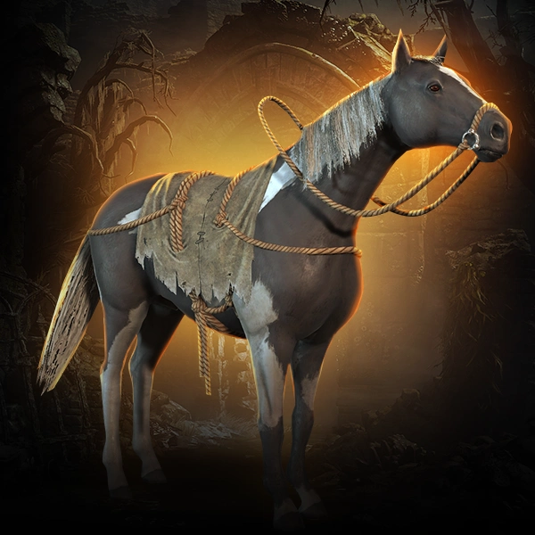 Diablo 4 Caldeum Steed