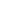 Vortex Frame