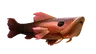 Ancientscales
