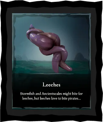 Leeches