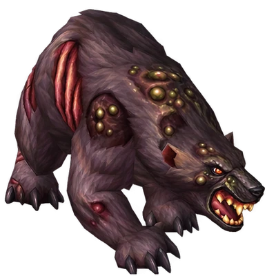 Bear in WoW Forever, the look of Angerclaw Bear, Angerclaw Mauler, Angerclaw Grizzly and 1 more